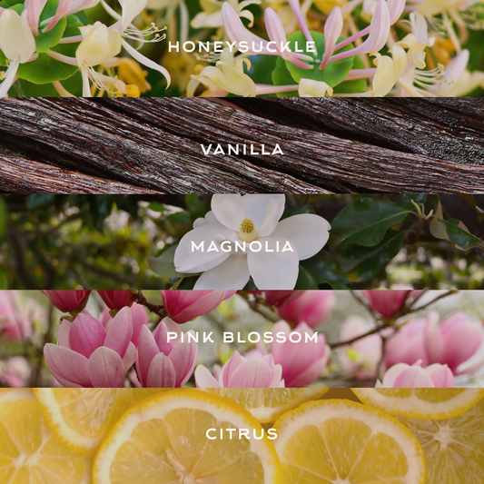 nashville nights | 30ml room + body mist