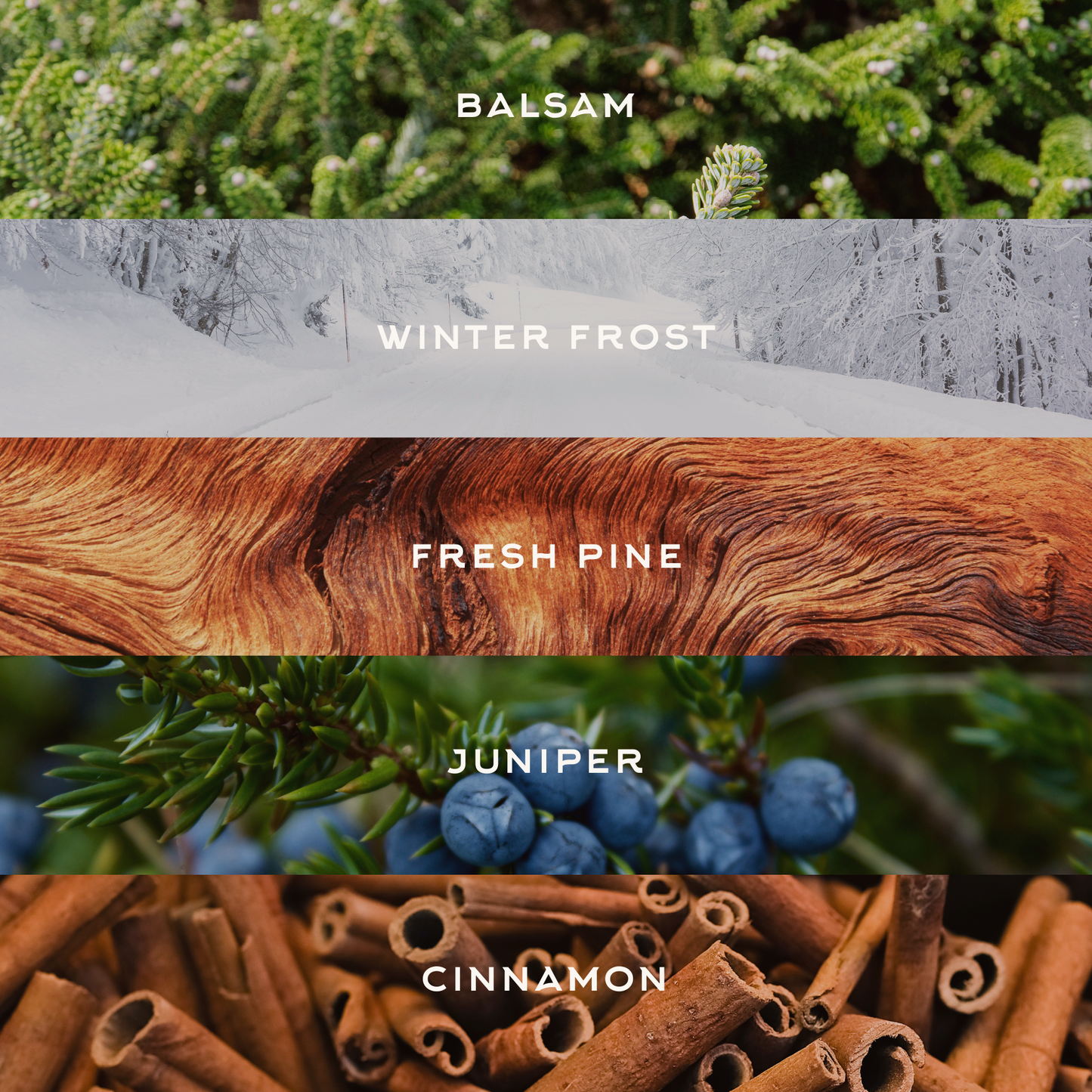winter cabin | 8oz candle